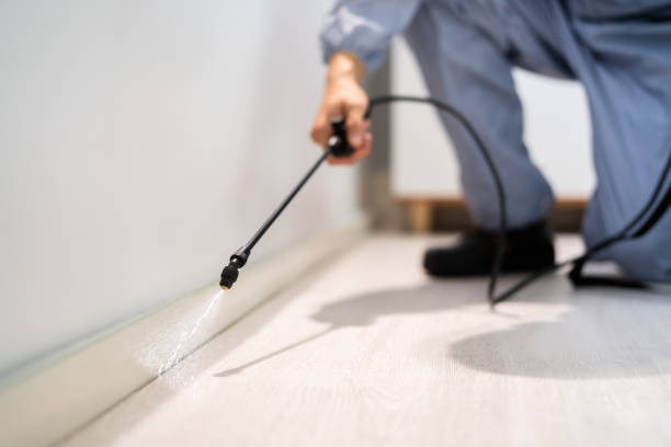 Professional exterminator conducting IPM assessment in Monte Sereno