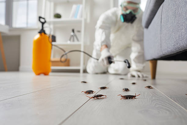 Commercial Rodent Management in Monte Sereno